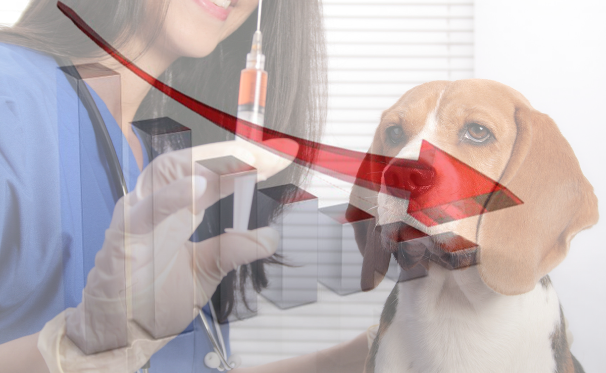 RNC Pharma: на розничном рынке ветеринарных препаратов суммарная доля американских поставщиков сократилась более чем на 6%
