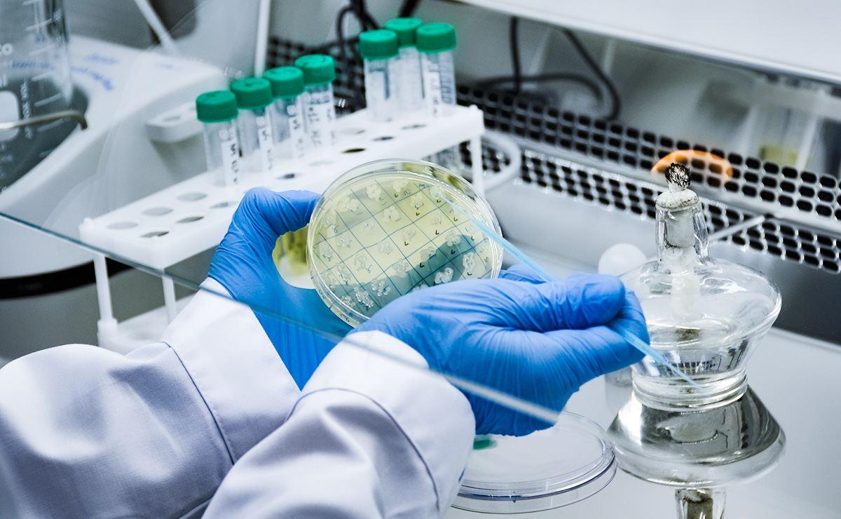 В R&D-центре «Нанолек» начали разработку двух моноклональных антител для лечения онкозаболеваний